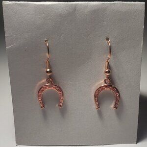 Horseshoe Earrings